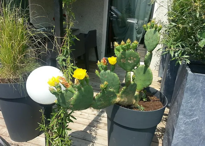 Casa Al Lido לוקרנו